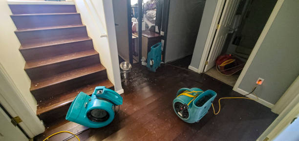 Best Sewage cleanup and water damage restoration  in Elim, PA