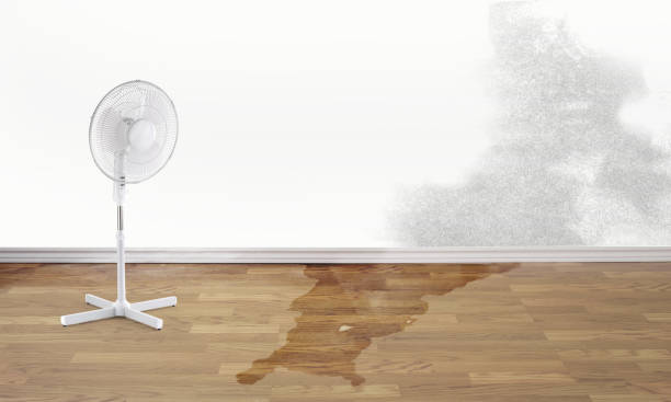 Best Residential water damage restoration  in Elim, PA