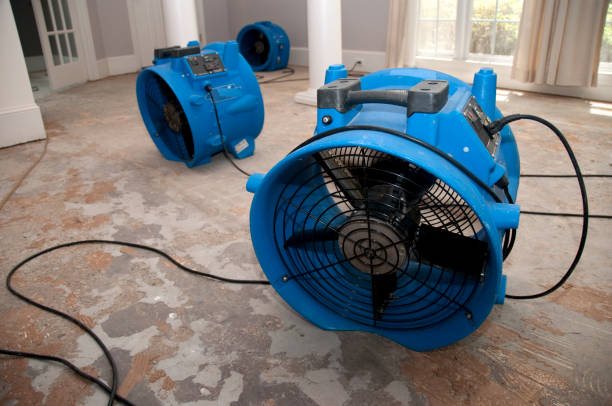 Best Water damage cleanup near me  in Elim, PA