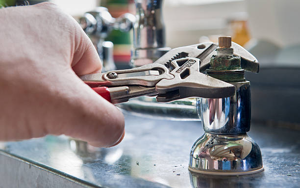 Best Flooded house restoration  in Elim, PA