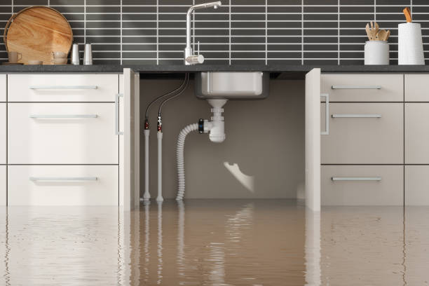 Best Carpet water damage restoration  in Elim, PA
