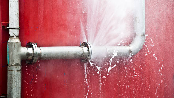 Best Flooded house restoration  in Elim, PA