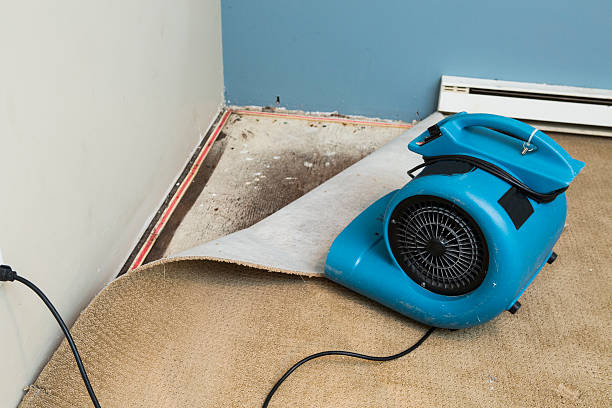 Best Water damage contractors near me  in Elim, PA